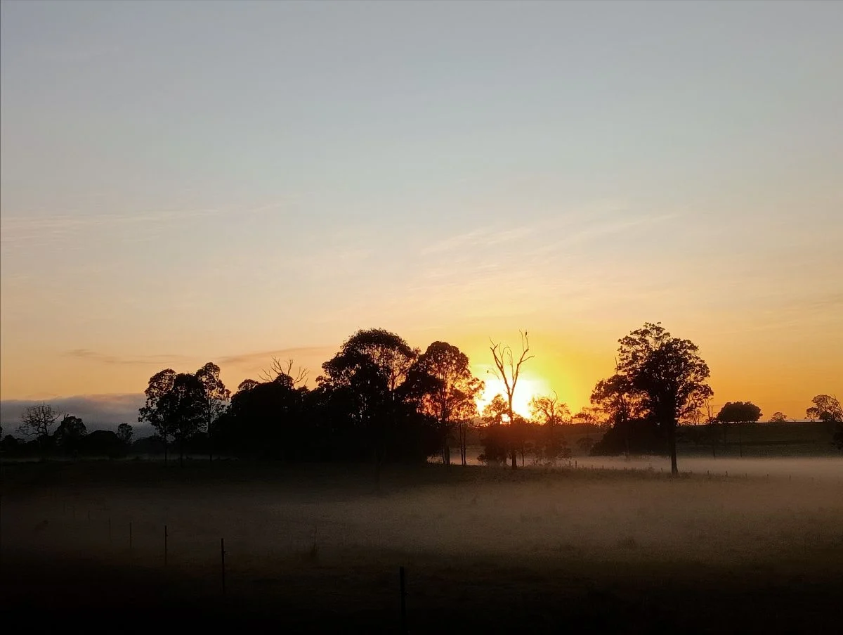 Introductions and Membership essentials
